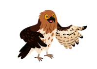 Au cœur d’une Forêt en sueur